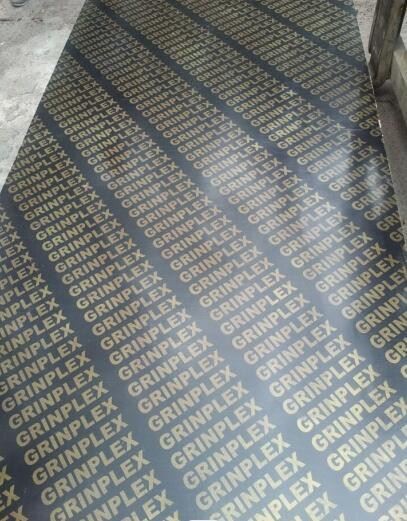 Finger Joint Core Film Faced Plywood Factory