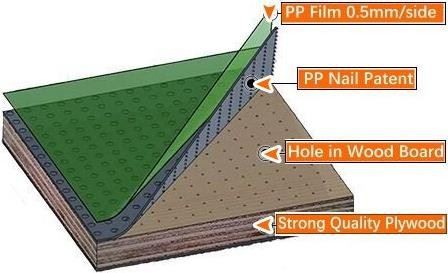 18mm Green Color Plastic Faced Plywood