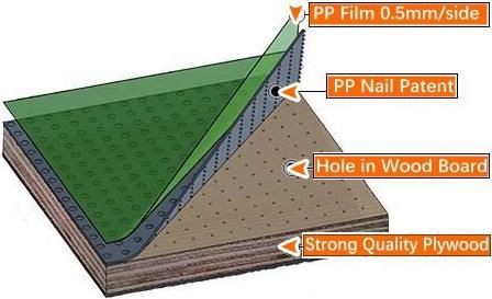 18mm Green Color Plastic Faced Plywood