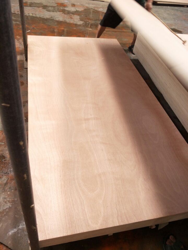 Hot Sale 18mm Bintangor Face/back Commercial Plywood Sheet Best