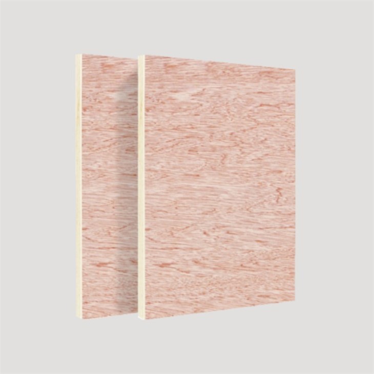 Manufacturer Plywood Wood Sheets Plywood Linyi