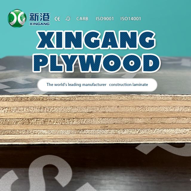 Marine Plywood Flm Faced Plywood 12mm 15mm 18mm Supplier Xingang