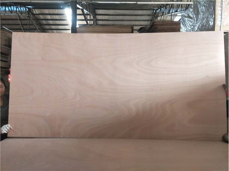 Okoume/Bintangor/Pine/Birch/Sapale Commercial Plywood 1220x2440mm