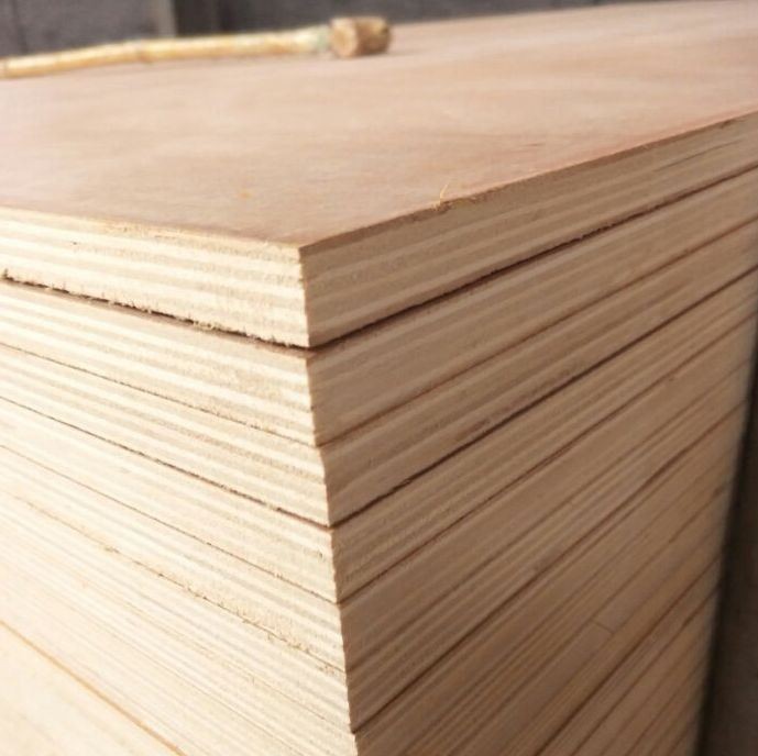 Okoume/Bintangor/Pine/Birch/Sapale Commercial Plywood 1220x2440mm