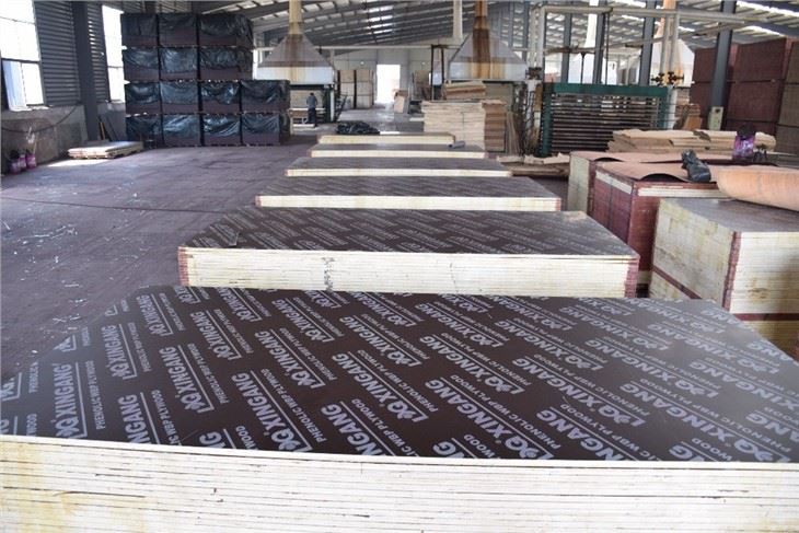 Phenolic Board For Construction 11plies