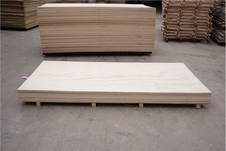 Poplar Commercial Plywood