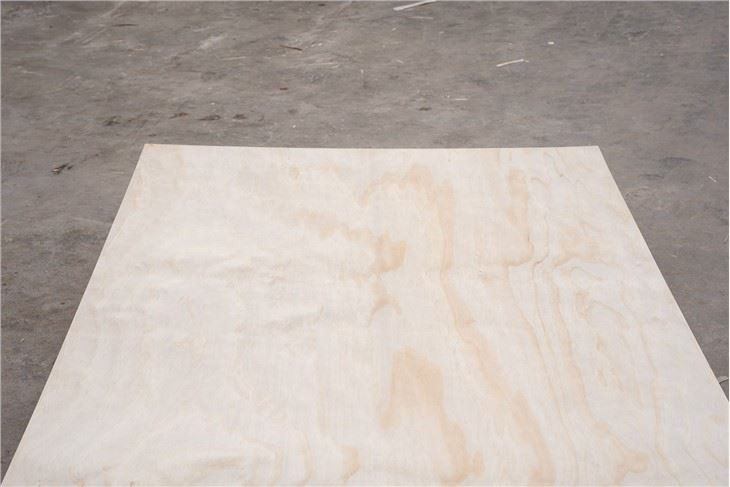 Poplar Commercial Plywood