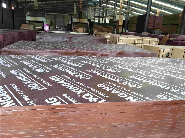 Poplar Panels Plywood