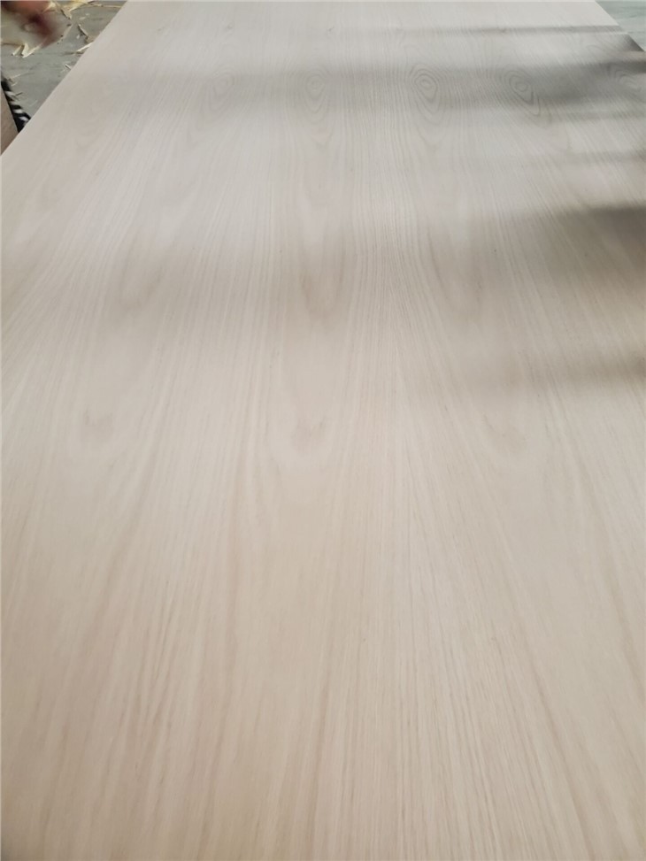 Red Oak Fancy Plywood