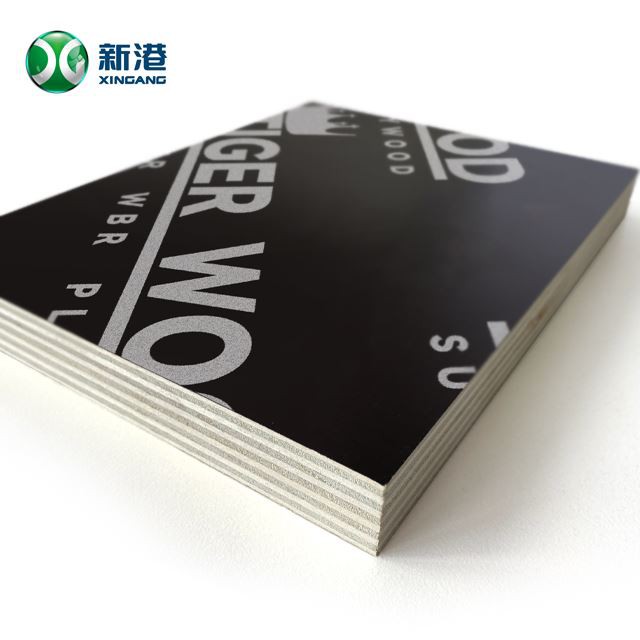 Reusable Plywood Marine Board African Market 1220x2440x18mm