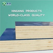 11 Layer Pvc Film Plywood 18mm Film Face Plywood PP Plastic Film Faced Plywood