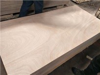 1220X2440MM BB/CC Okoume Plywood