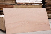 15mm Okoume Commercial Plywood
