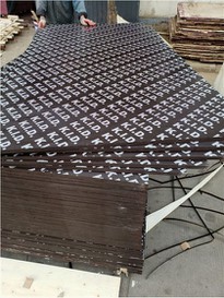 18mm Poplar Material Core Film Faced Plywood
