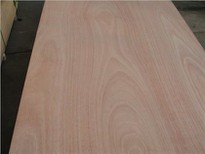 4'x8'x18mm Okoume BB/CC Plywood