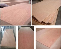 3X7 Bintangor Okoume Sapelee 2mm-5mm BB/CC Door Skin Plywood