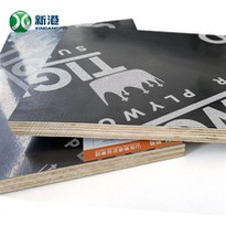 8-10 Times Marine Plywood Supplier- China