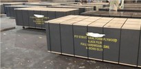 Australia F17 Form Plywood
