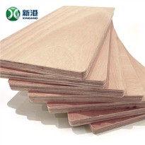 Bb/cc Okoume Plywood