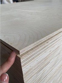 Bintangor Plywood Construction Poplar All Size And Thickness Teak Plywoods
