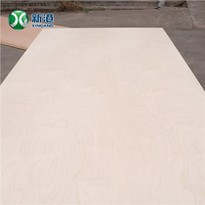Birch Commercial Plywood