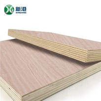 Bintangor Plywood 18mm