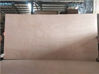 Cheapest Prices Packing Plywood Commercial Plywoood