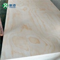 Construction Grade Structural Plywood CDX Pine