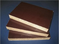Construction Plywood Film Faced Plywood 1220x2440mm 12mm 15mm 18mm Black Brown Film Faced Plywood Sheet