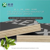 F17 Full Hardwood Film Faced Plywood Marine Plywood