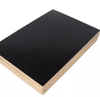 Film Faced Construction Plywood