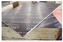 Film Faced Plywood For Concrete Shuttering System