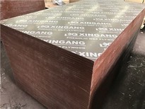 Film Faced Plywood For Formwork