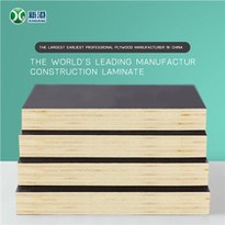 Film Faced Shuttering Plywood