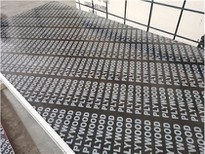Finger Joint Core Film Faced Plywood 18mm Construction Usage