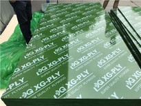 Green Plastic Plywood