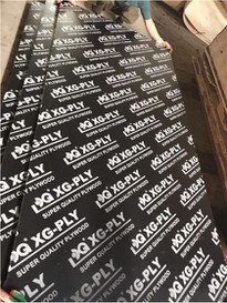 Hardwood Film Faced Plywood / Shuttering Plywood Supplier