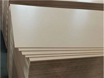 High-quality HDF Furniture Decoration Cabinet Door