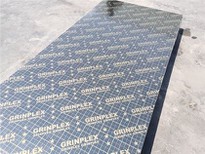Marine Film Faced Plywood 18mm