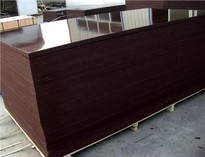 MARINEPLEX PLYWOOD FOR CONSTRUCTION