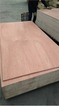 XINGANG BRAND COMMERCIAL PLYWOOD POPLAR CORE