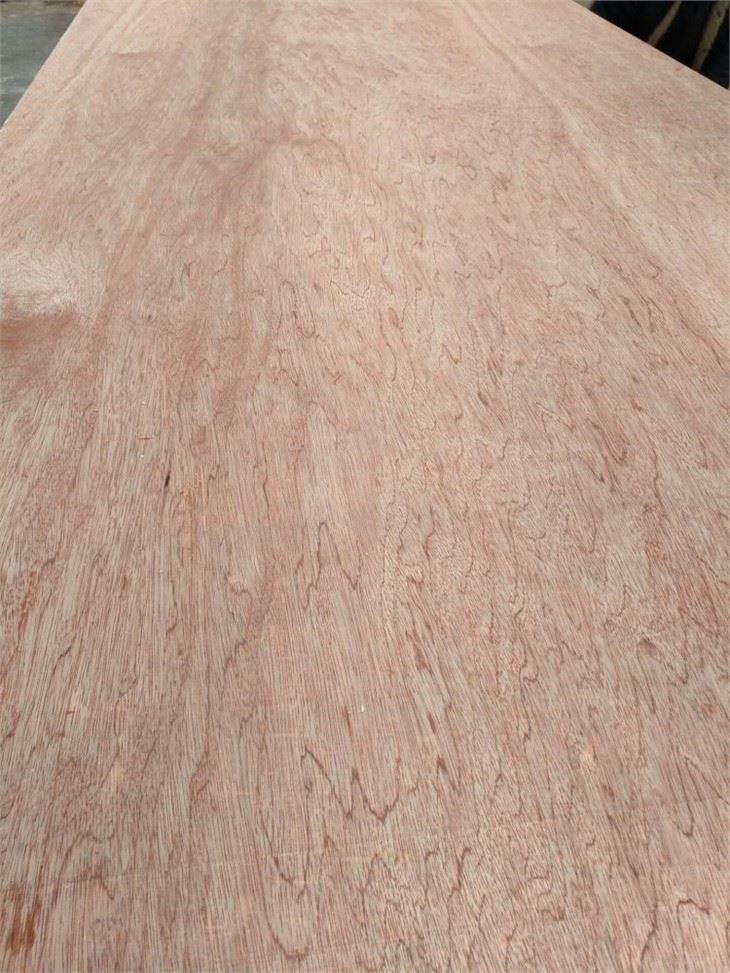 XINGANG BRAND COMMERCIAL PLYWOOD POPLAR CORE