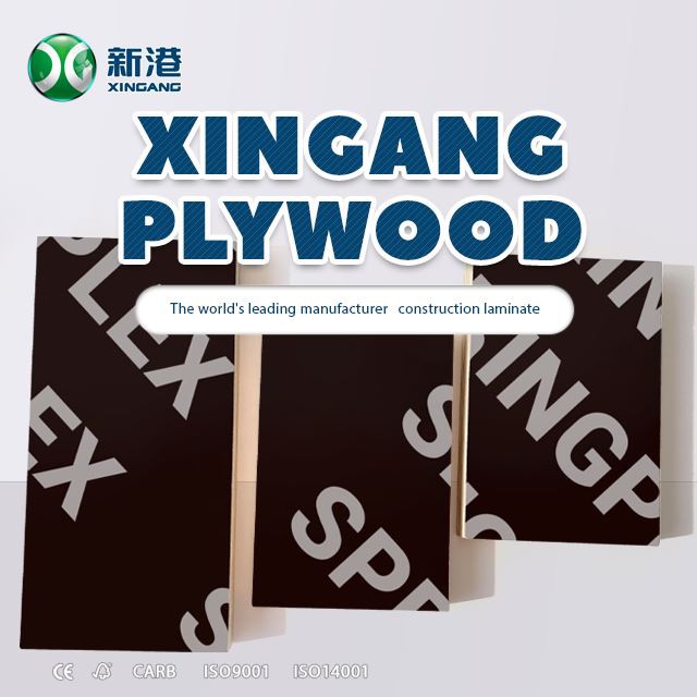 Xingang Brand Marine Plywood Flm Faced Plywood