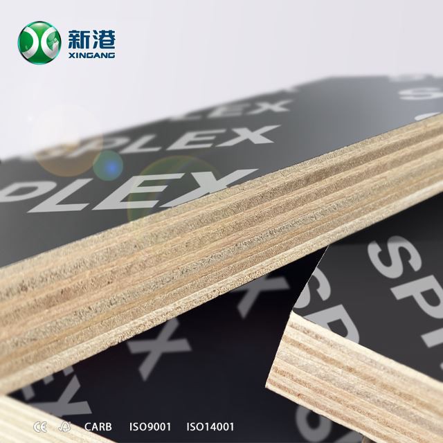Xingang Brand Marine Plywood Flm Faced Plywood