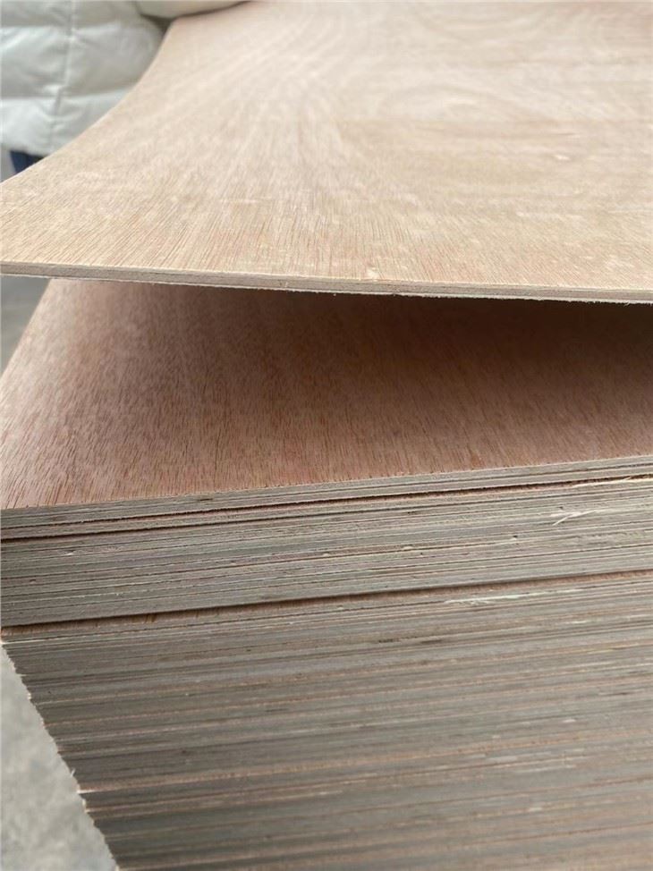 XINGANG COMMERCIAL PLYWOOD POPLAR CORE FUNITURE GRADE