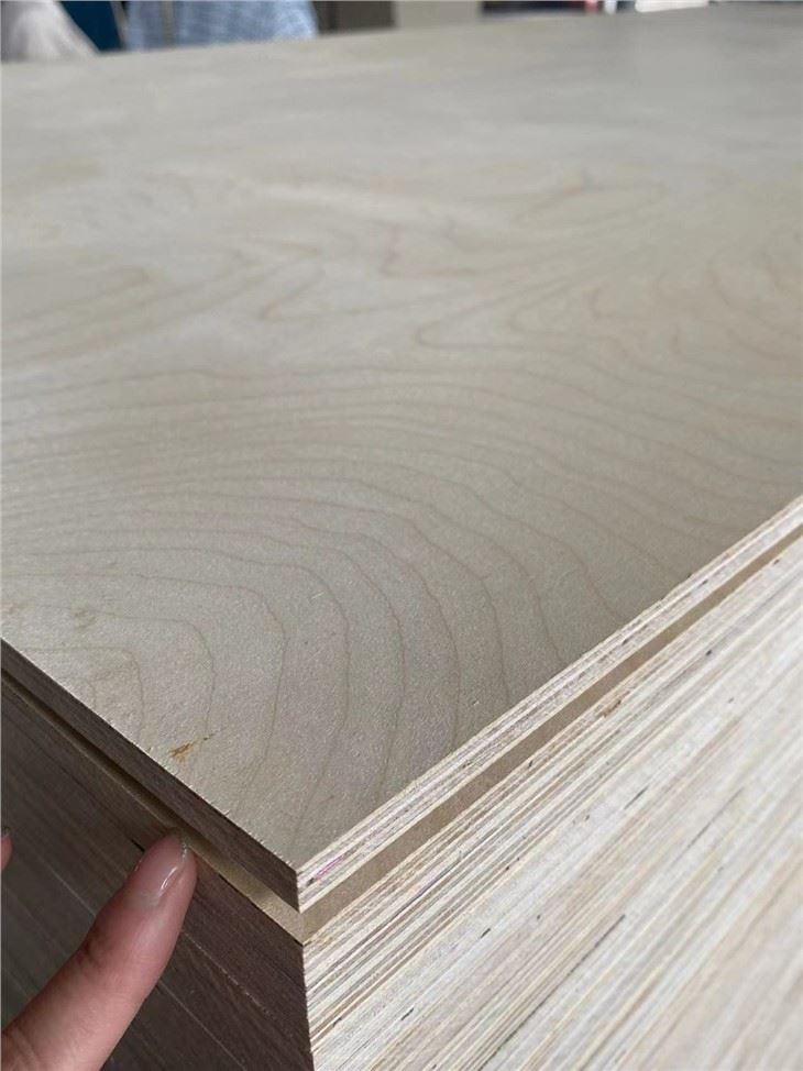 XINGANG COMMERCIAL PLYWOOD POPLAR CORE FUNITURE GRADE