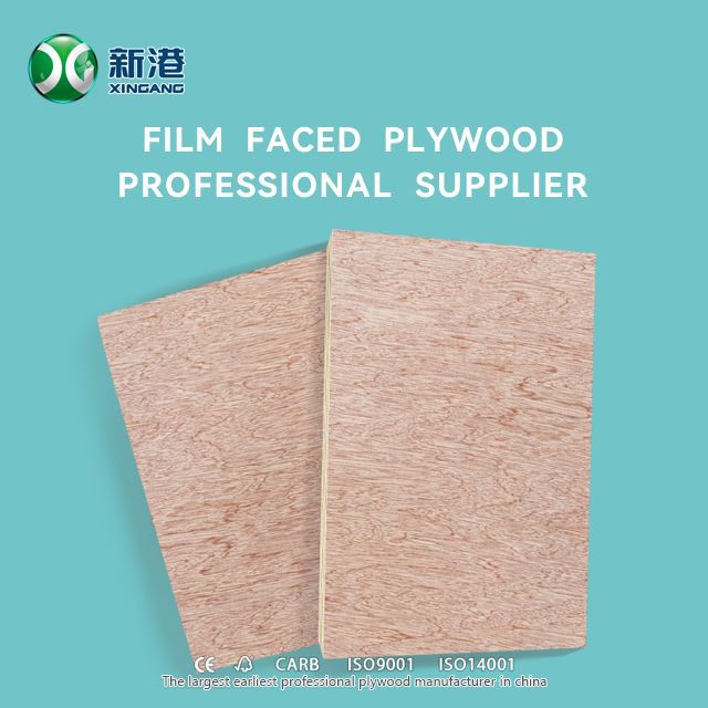 XINGANG COMMERCIAL PLYWOOD