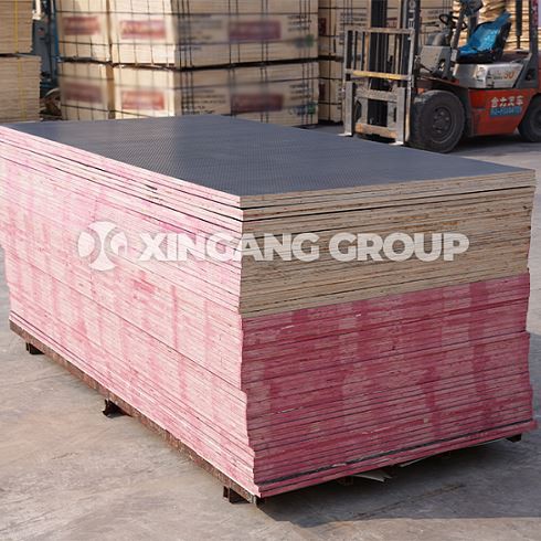 XINGANG Wire Mesh Anti Slip Film Faced Plywood