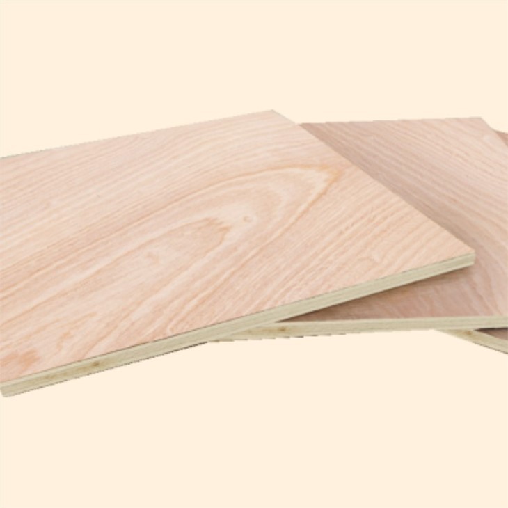 Bintangor BBCC Face Back Veneer Commercial Plywood