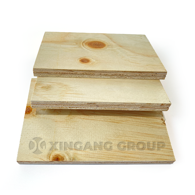 CDX Construction Pine Plywood